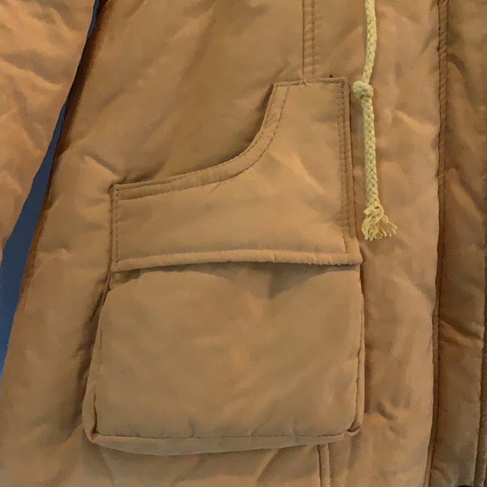 Cute Yellow Jacket - Picture 5 of 11